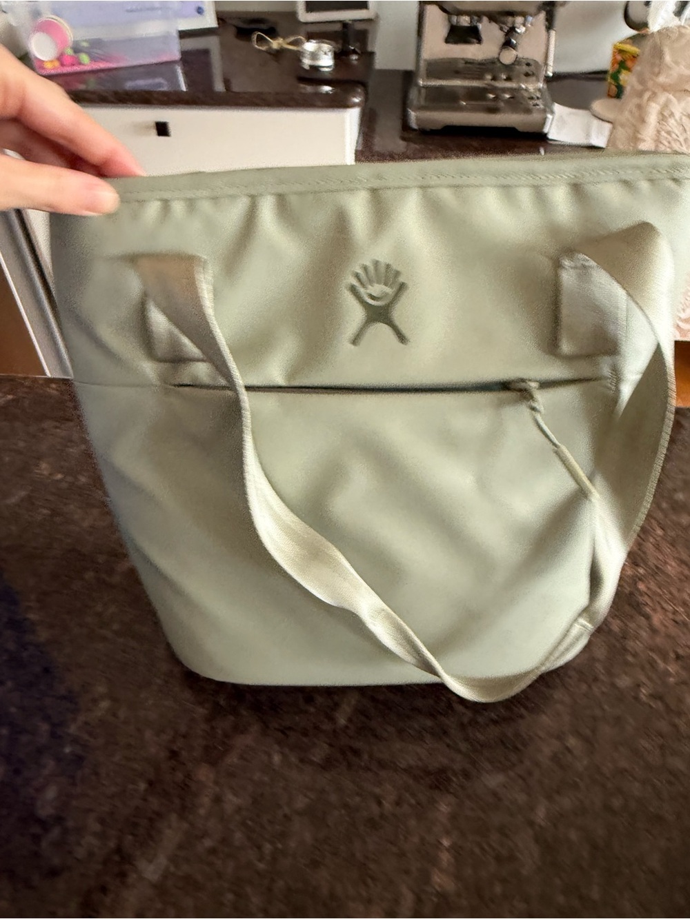 Hydroflask lunch tote